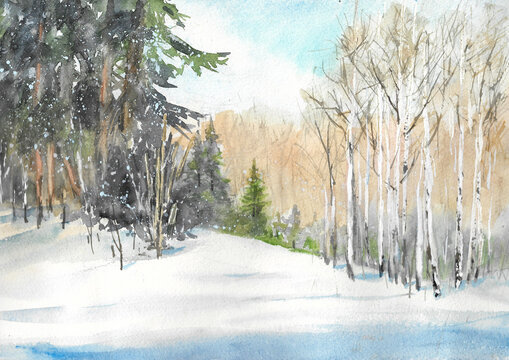 Forest at the winter watercolor painting