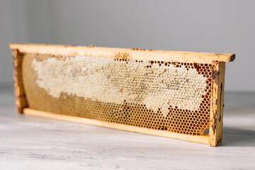 Open honeycomb in wooden frame on the table
