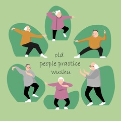 Taichi wushu kungfu fitness healthy activities grandfather adult cartoon flat design vector illustration