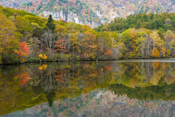鏡池の映り込み