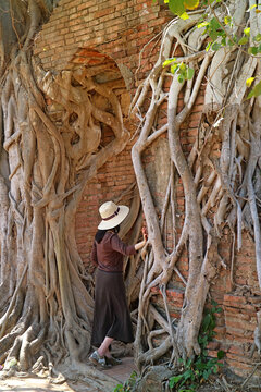 Female Visitor at the "GATE OF TIME" of Wat Phra Ngam Temple Ruins Covered with Bodhi Tree Roots, Ayutthaya, Thailand