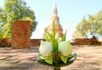 Closeup a Bouquet of Lotus Flowers for Offering with Blurry Old Pagoda of Wat Phra Ngam Temple Ruins in the Backdrop, Ayutthaya, Thailand - obrazy, fototapety, plakaty