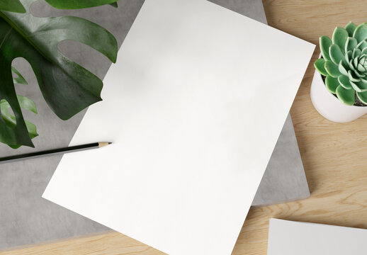Blank paper on wooden desk Mockup. 3d rendering of A4 empty white sheet on concrete plate with monstera plant, cactus and pencil.