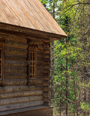 Ancient wooden house in the spring in the forest.