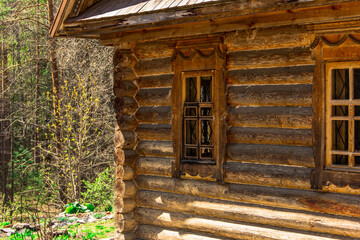 Ancient wooden house in the spring in the forest.