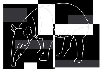 Abstract line of tapir with square background