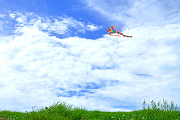Fototapeta na wymiar Rainbow kite flying in blue sky, with green grass field foreground.