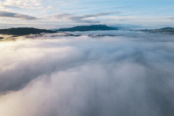 fog and clouds in the morning in the forest