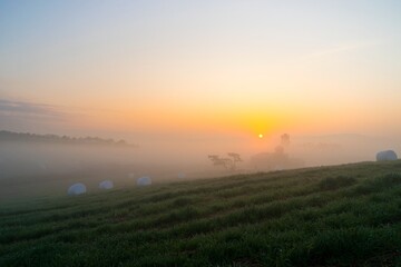 Obraz premium 목장의 가을