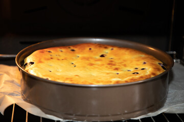 Ready cheesecake with blueberries in a baking dish in the oven. Front view