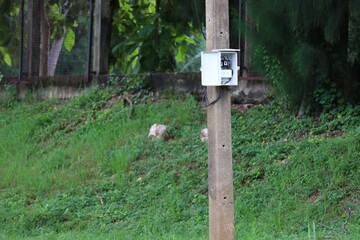 mailbox on a fence