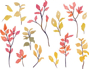 水彩画。水彩タッチの紅葉樹ベクターイラストセット。秋の枯葉のベクター挿絵。リアルタッチの秋の植物イラスト。Watercolor. Set of vector illustration of autumn leaves tree vector illustration with watercolor touch. Autumn dead leaves vector illustration. Aut