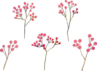 水彩画。水彩タッチの赤い木の実ベクターイラスト。秋の木の実ベクターイラスト。Watercolor painting. Red tree nuts vector illustration with watercolor touch. Autumn nuts vector illustration.