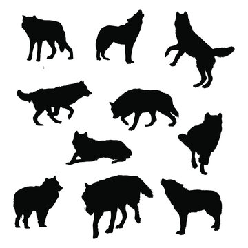 10 wolves silhouette isolated on white background. easy editable.	