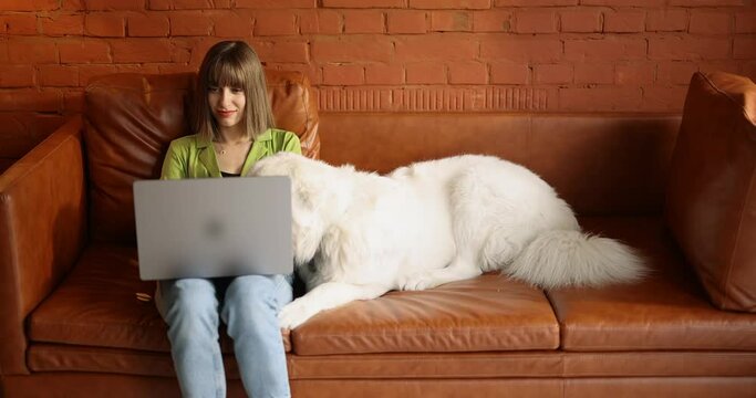 Young woman works on laptop computer while sitting with her cute white dog on a couch at home. Remote work from home and friendship with pets
