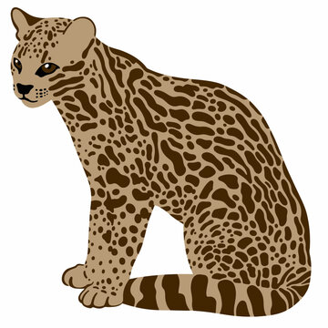 Ocelot Realistic Vector Illustration Isolated On White