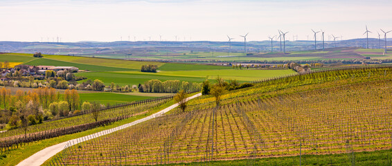Panorama-Bild von Feldern und Weinbergen mit vielen Windrädern zur Erzeugung von grünem Strom in Deutschland