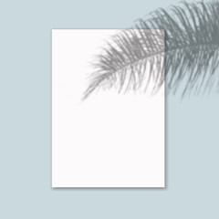 Drop shadow overlay effect on sheets of paper.Modern minimalist style.Scenes of natural lighting.For presentation poster, blank, flyer,invitation,logo.