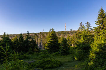 Sommerabend am Brocken
