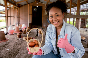Charming farmer present high quality of eggs chicken in the farm. Fresh, suitable as a food ingredient, A good breed house. Animal in organic farm house