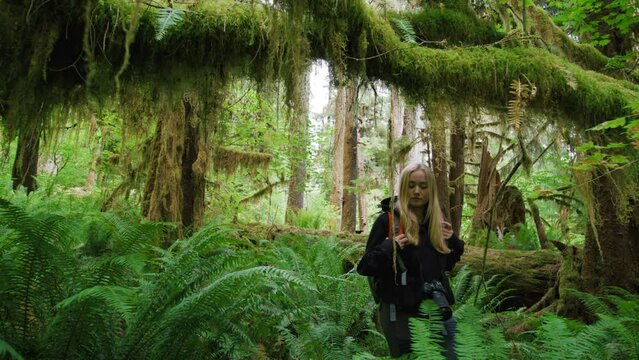 Blonde-haired woman with backpack exploring the diversity of distinct ecosystem. Female traveler wades through the dense tropical rainforest with old growth trees. High quality 4k footage