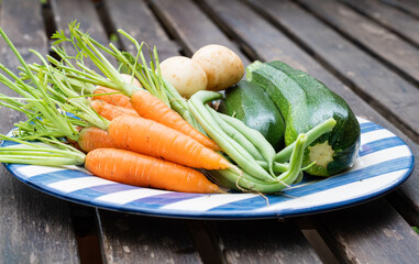 Home grown vegetables carrots courgettes beans and potatos on a blue striped plate on rustic brown wooden table