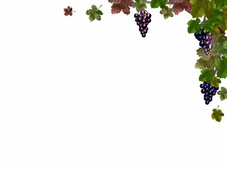 Fototapeta premium grape frame