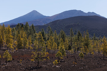 Volcán el Teide, canarias, en verano