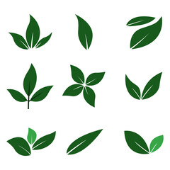 Leaves icon set on white background. Various shapes of green leaves. Vector illustration. EPS 10.