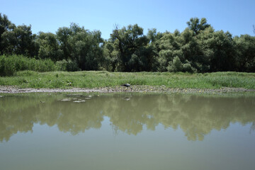 danube delta romania natural reservation