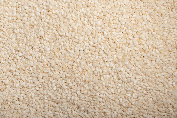 White Sesame Full Frame Background. Top View for background.