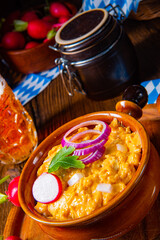 rustic Bavarian obazda with radishes and onions