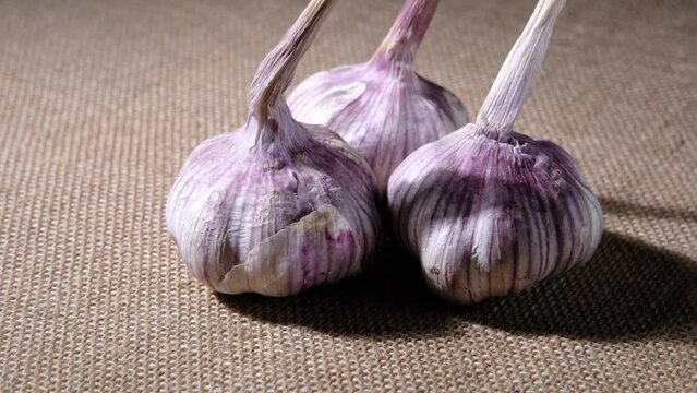 Three heads of garlic with tails slowly rotate lying on a coarse burlap fabric with jet shadows.