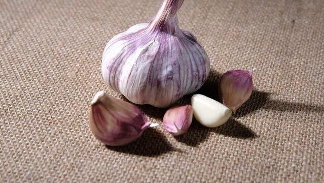 One head and several small cloves of garlic slowly rotate lying on a coarse burlap fabric with hard shadows.