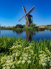 Naklejka premium Traditional dutch windmill in the country