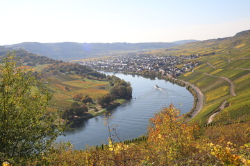ship traveling through a bend in the Moselle river with vineyard in fall colors on both sides