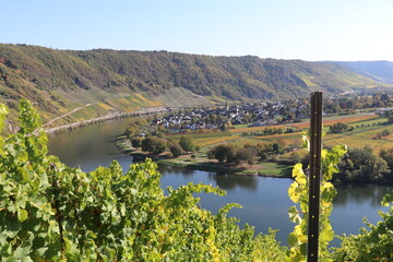 little town in the river bend of the Moselle river with the vineyards on the hills on the other...