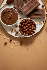 Chocolate popsicles with hazelnuts served with melted chocolate on a white plate