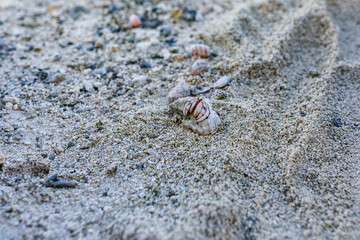 The virgin nature of French Polynesia with its beautiful landscapes