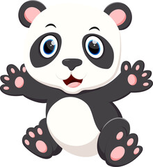 Cute baby panda sitting on white background