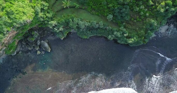 aerial cliff overgrown by tress border with the sea. drone shot of sea wave in the south coast of Java with the Indian Ocean, Indonesia. sea ​​foam 4K video.