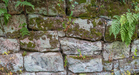Pattern of ancient bricks and stones at old middle age fortress wall covered with moss, fern and lichen, as a background, closeup, details.