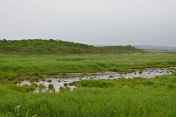 霧多布湿原