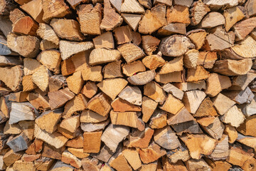Big pile wall of pine tree firewood stocked at the forest border after logging as a background, details, closeup.