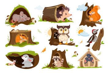 Set of forest animals sleep or hibernate in tree hole houses. Woodland burrows with cute fox, squirrel, owl, raccoon, hare and hedgehog. Woodpecker on a branch with hollow flat vector illustration. - obrazy, fototapety, plakaty