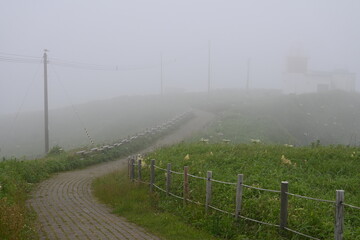 Fototapeta na wymiar 霧の岬