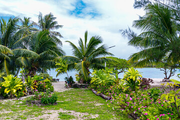 Fototapeta premium The virgin nature of French Polynesia with its beautiful landscapes