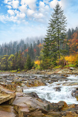 Obraz premium Mountain river with rapids and waterfalls at autumn time.