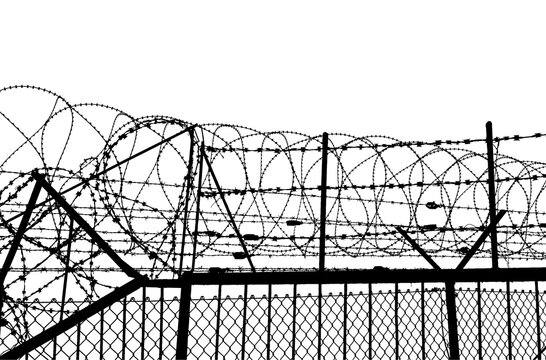 Сontour of barbed wire on a white background