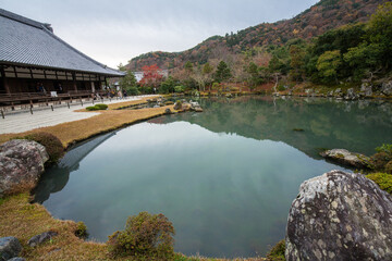 Fototapeta premium Autumn Japanese Garden in Tenryu-ji Temple, Kyoto, Japan